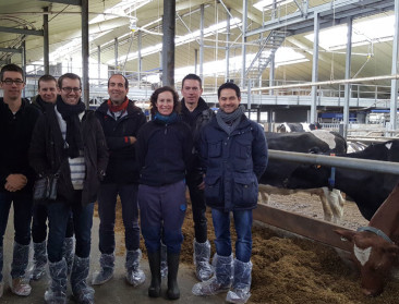 Frans-Belgische expertise inzake melkvee in één team 