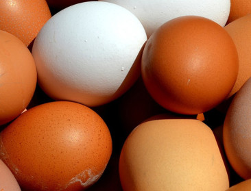 Zien we binnenkort meer witte eieren in de supermarkt?