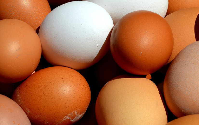 Zien we binnenkort meer witte eieren in de supermarkt?