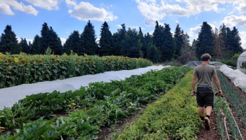 UGent: “Vlaamse CSA-boerderijen blinken uit in duurzaamheid”