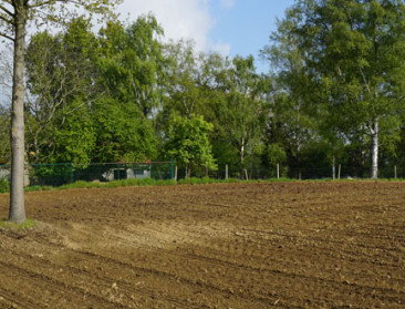 Elke boer zijn eigen bosje van 1 hectare promoot Hogan
