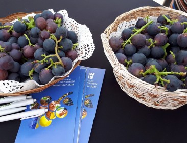 Vlaams-Brabant lanceert Druiventro(t)s