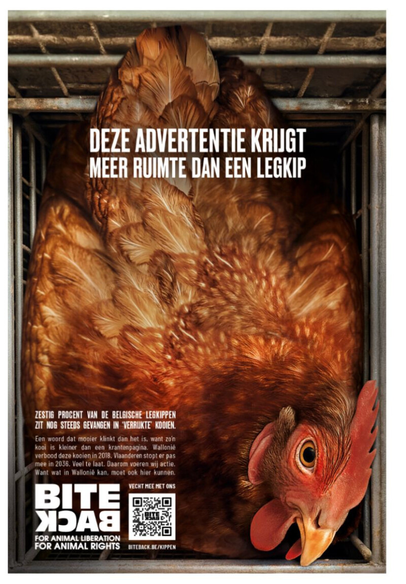 landsbond-pluimvee-dient-klacht-in-tegen-campagne-bite-back-nl-2826
