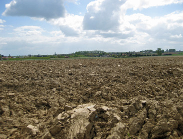 33 ha West-Vlaamse landbouwgrond moet wijken voor bos