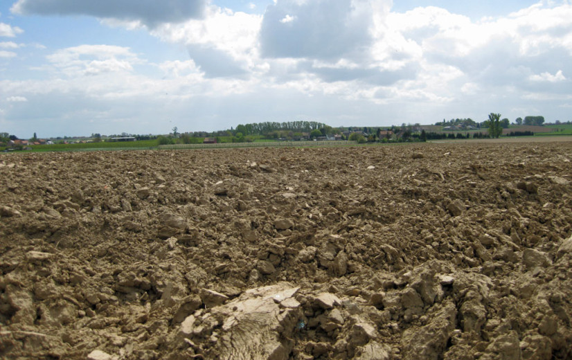 33 ha West-Vlaamse landbouwgrond moet wijken voor bos