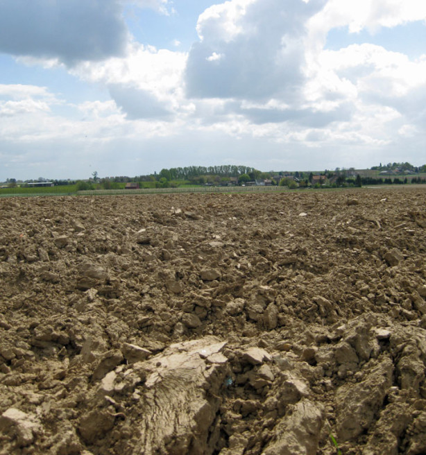 33 ha West-Vlaamse landbouwgrond moet wijken voor bos