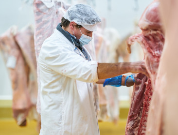 BMO zet in op Indiase markt voor export van varkensvlees