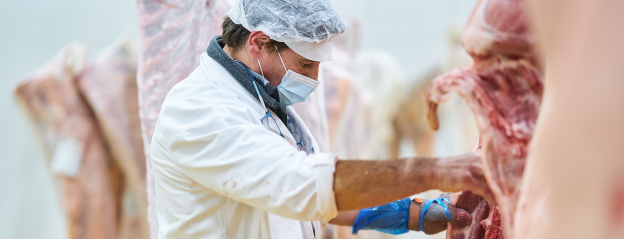 varkensvleesslachthuis-VLAMBMO