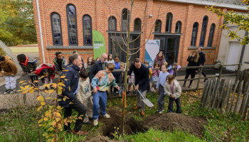 Boomplantdag: "Door klimaatverandering nog belangrijker je boom in het najaar te planten"