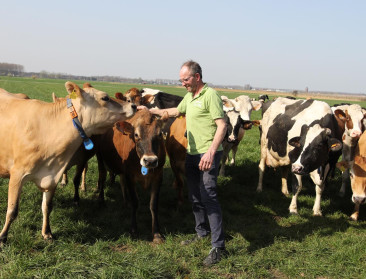 Korteketenondernemer riskeert melk te moeten inkopen door afroming NER’s