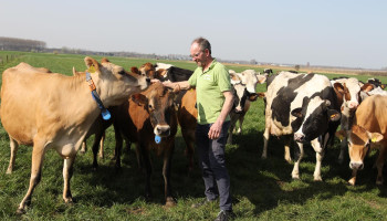 Korteketenondernemer riskeert melk te moeten inkopen door afroming NER’s