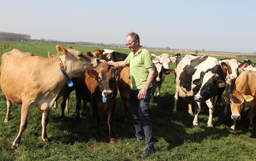 Korteketenondernemer riskeert melk te moeten inkopen door afroming NER’s