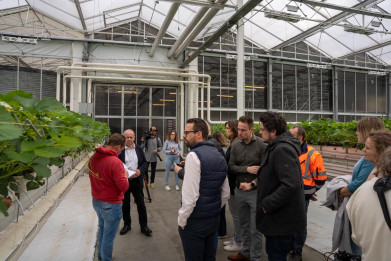 Luc Krijnen leverde eerste aardbeien aan bij Hoogstraten en krijgt pers en Colruyt op visite
