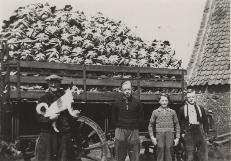 Foto – familie Bauweleers voor vertrek naar de markt, ca. 1942 © Groentemuseum ’t Grom – collectie J. Vertommen