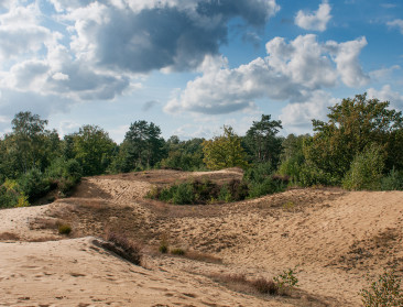 600.000 euro steun voor drie Limburgse natuurprojecten
