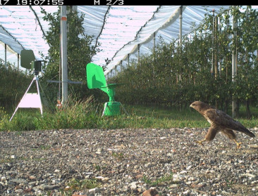 Hoe DNA uit de lucht dieren verraadt