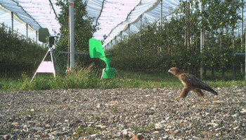 Hoe DNA uit de lucht dieren verraadt