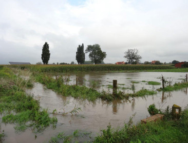FAVV waarschuwt voor vervuilde percelen en weides na overstromingen