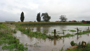 Europa waarschuwt voor groeiende overstromingsrisico’s: wat doet Vlaanderen?
