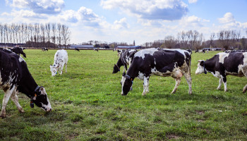 Minder aanbod, meer vraag: biomelkprijs zit weer in de lift