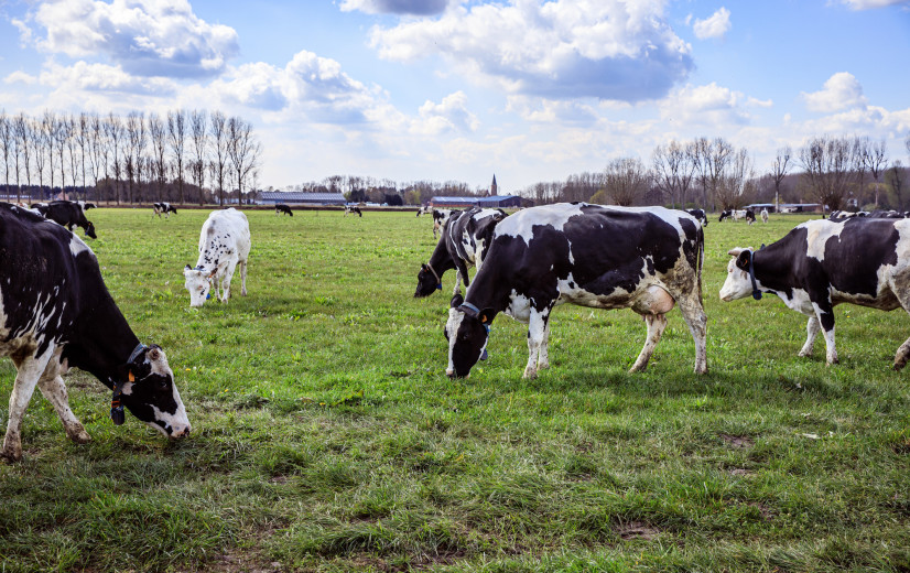 Bioforum: "Bio kan de wereld redden"