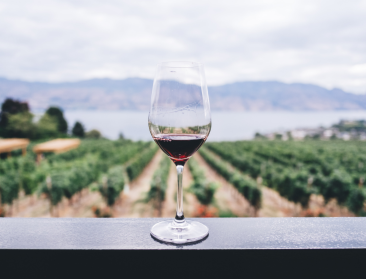 Wereldwijde wijnproductie op laagste niveau in zestig jaar