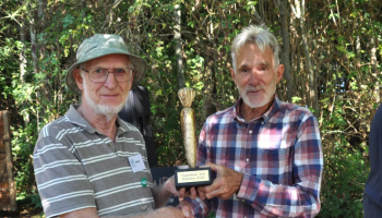 Van groente tot instrument: Hamme houdt eerste Kampioenschap Wortelfluiten