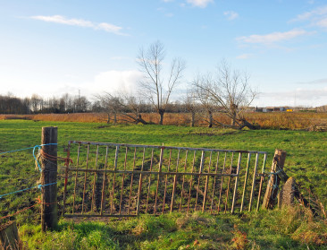 "Onbegrijpelijk dat OCMW Gent boeren uitsluit"