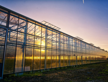 “Realistisch” Vlaams Kimaatplan brengt optimisme bij boeren en ondernemers, maar niet bij natuur