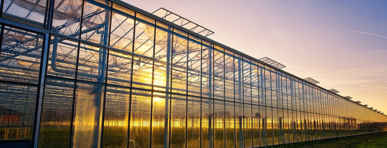 serre tuinbouw glastuinbouw