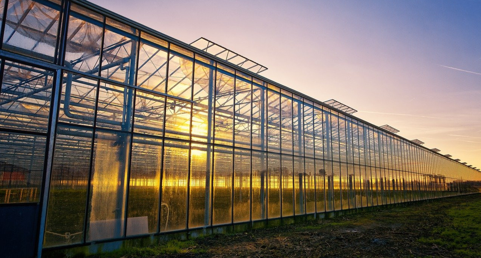serre tuinbouw glastuinbouw