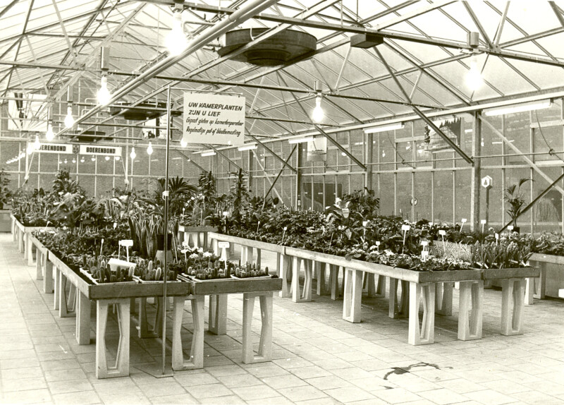 Arvesta geschiedenis 5