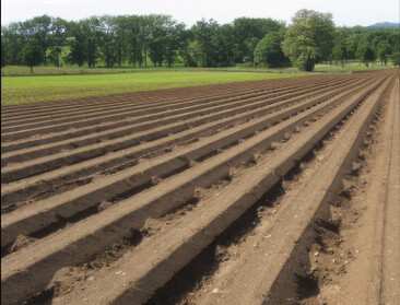 Drempels bij ruggenteelt: wanneer is het verplicht?