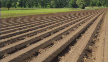 Drempels bij ruggenteelt: wanneer is het verplicht?
