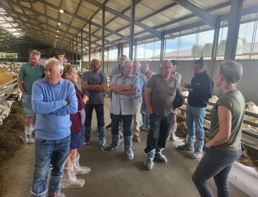 Verwerker van geitenmelk zoekt Vlaamse biologische geitenbedrijven
