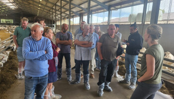 Verwerker van geitenmelk zoekt Vlaamse biologische geitenbedrijven