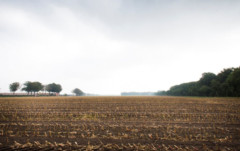 1 op 3 opgekochte gronden door ANB was landbouwgrond in 2022
