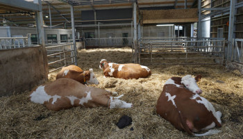 Twee emissiereducerende maatregelen voor potstallen ingediend bij WeComV