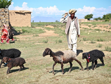 VN vraagt hulp voor Afghaanse landbouwgemeenschappen
