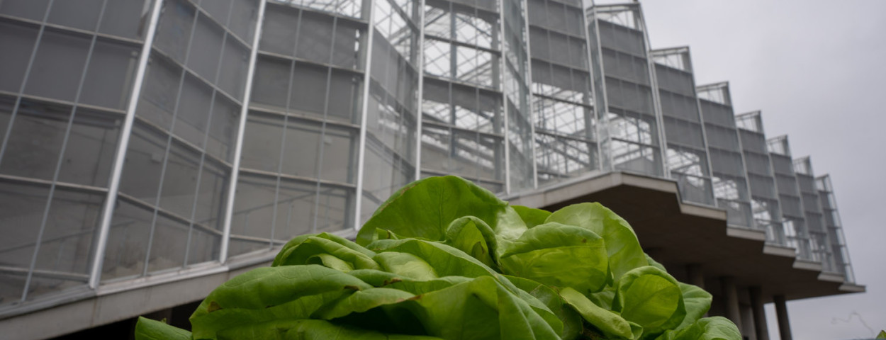 Agrotopia