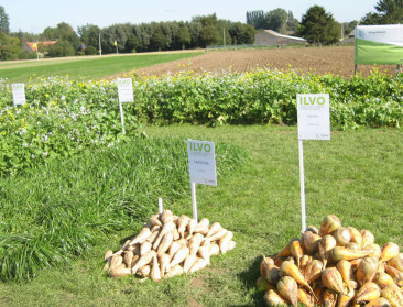 Open Bedrijvendag: ILVO geeft inkijk in landbouw en voeding van de toekomst en lanceert boek