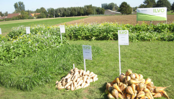 Open Bedrijvendag: ILVO geeft inkijk in landbouw en voeding van de toekomst en lanceert boek