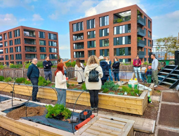 Stadslandbouw: Antwerpse dakboerderij wil band tussen landbouw en burger herstellen