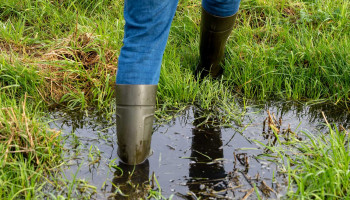 90% van landbouwers niet verzekerd tegen extreem weer: is er nog een vangnet?