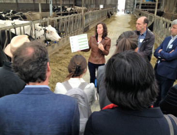 ILVO focust in onderzoek op de PAS-problematiek