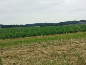 Wat te doen bij uitvoeringsprobleem beheerovereenkomst?