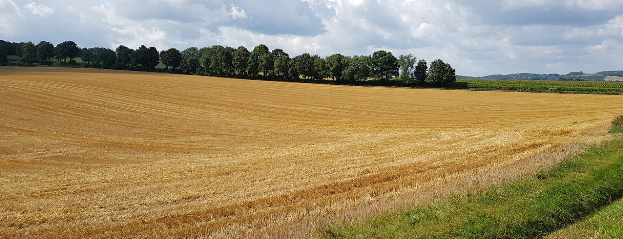 landbouwgrondakkerveld