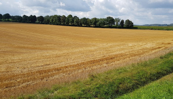 "Kloof tussen economische waarde en vastgoedprijs landbouwgrond wordt problematisch”