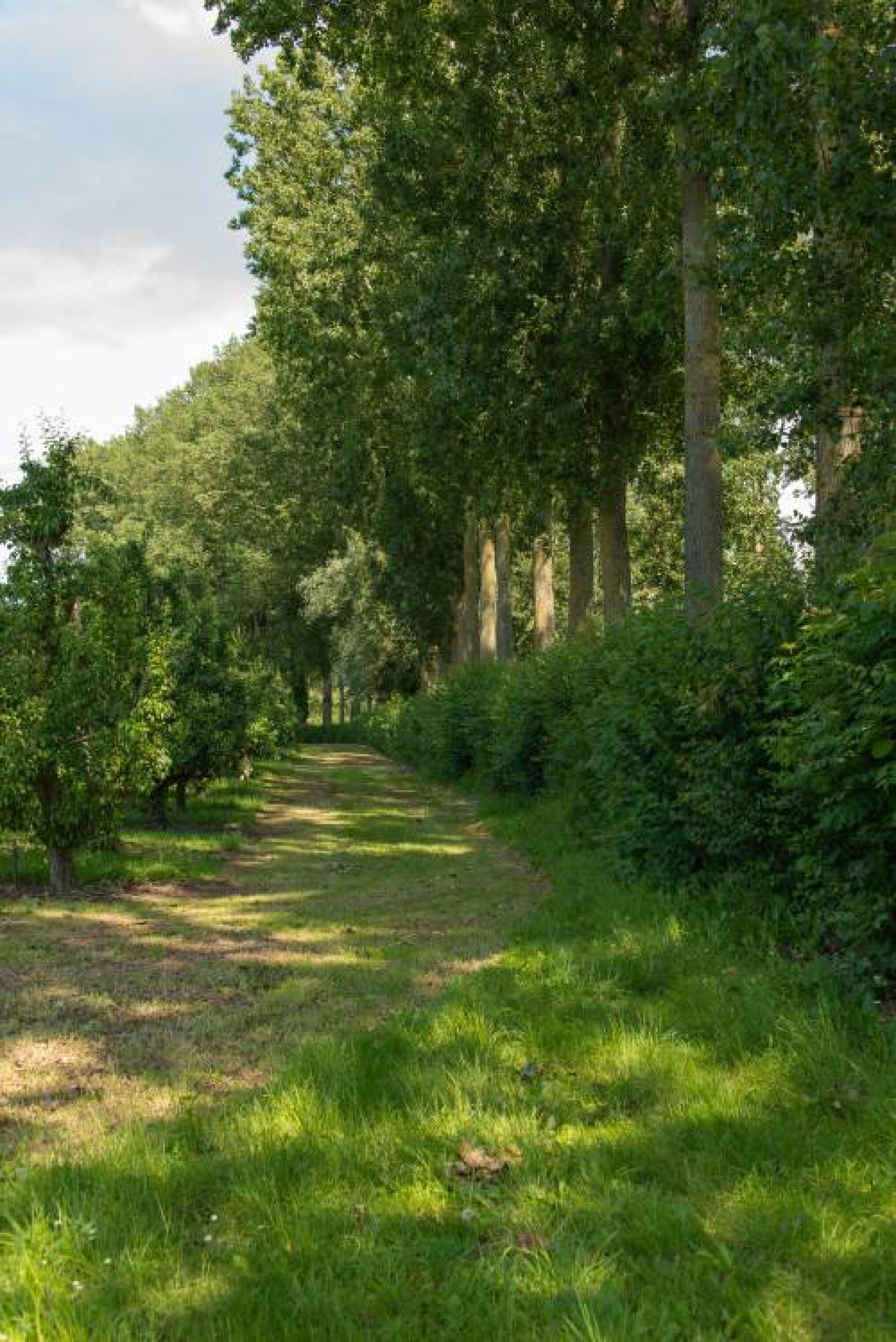 Demodag over beheerovereenkomsten in Zemst