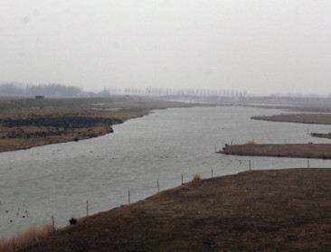 Hommeles op infomarkt natuurcompensatie Antwerpse haven